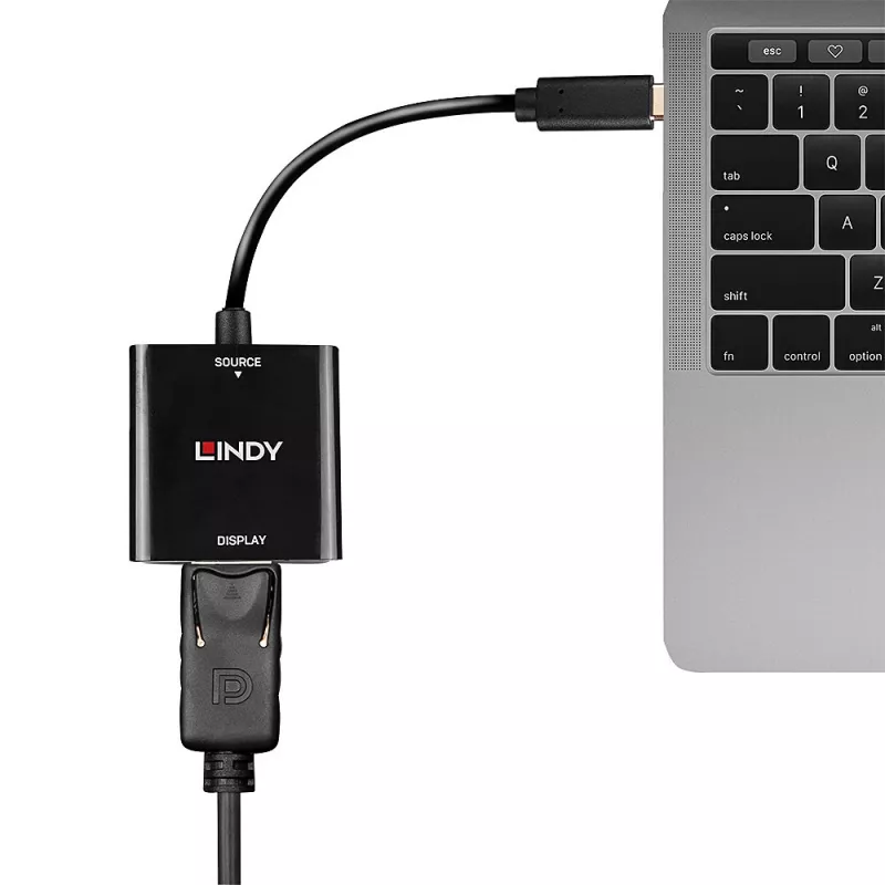 Lindy USB Type C σε DisplayPort 4K144 μετατροπέας, USB Type-C, έξοδος DisplayPort, 3840 x 2160 pixel