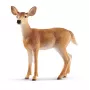 Φιγούρα Schleich WILD LIFE Ελάφι λευκής ουράς θηλυκό