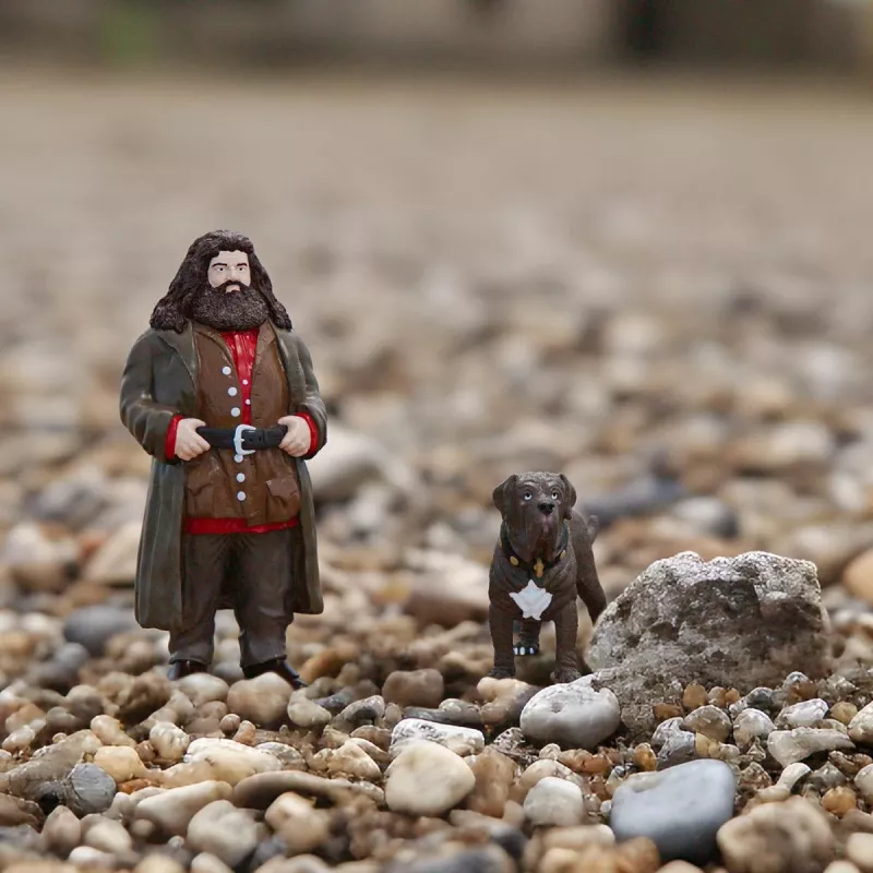 schleich Hagrid & Fang, 6 ετών, Harry Potter™, πολύχρωμο, πλαστικό