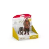 schleich Hagrid & Fang, 6 ετών, Harry Potter™, πολύχρωμο, πλαστικό