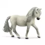 schleich HORSE CLUB Islandpony Stute, 5 έτη, Άλογα, Πολύχρωμο, Πλαστικό