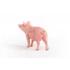 Schleich Bauernhof Schwein Figur 13933, ροζ, συνιστώμενη ηλικία 3+