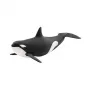 Φιγούρα παιχνιδιού Schleich WILD LIFE Όρκα