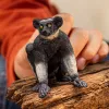 Φιγούρα Schleich WILD LIFE Indri Πολύχρωμο 14877S Συνιστώμενη ηλικία 3 ετών