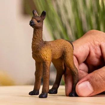 schleich FARM WORLD Πουλάρι Λάμα, 3 έτος(-η), Φάρμα, Ζώα φάρμας / Παιχνίδι φάρμας, Πολύχρωμο