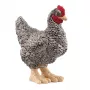 schleich FARM WORLD Κότα Plymouth Rock, 3 έτος(-η), Φάρμα, Ζώα φάρμας/Παιχνίδι φάρμας, Πολύχρωμο