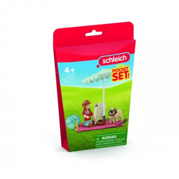 schleich HORSE CLUB Ημερήσια εκδρομή στη λίμνη, Ζώο, Άλογα, Σετ τσέπης, 5 έτος/έτη, Πολύχρωμο
