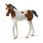 schleich HORSE CLUB Paint Horse Πουλάρι, 5 έτος/έτη, Άλογα, Πολύχρωμο