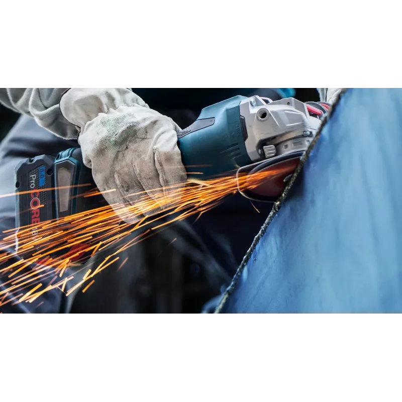 Bosch 2 608 621 825 Αξεσουάρ γωνιακού τροχού Δίσκος λείανσης