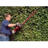 Ψαλίδι θάμνων Einhell GC-EH 6055/1