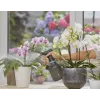 Ψεκαστήρας αντλίας Gardena 11114-20