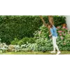 Bosch EasyGrassCut 23 23 cm 280 W AC Μαύρο, Πράσινο