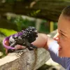 Φιγούρα Schleich ELDRADOR CREATURES Schattenlöwe 42555 Συλλεκτικό