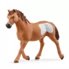 schleich Cowgirl Team Roping Fun, 3 έτη, Πολύχρωμο
