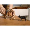 schleich Western Riding Adventures, 3 έτη, Πολύχρωμο