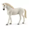 Επέκταση στάβλου Schleich HORSE CLUB 42569 Πολύχρωμο