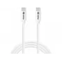 Sandberg USB-C USB-C 65W 1M SAVER, 1 m, USB C, USB C, USB 2.0, λευκό