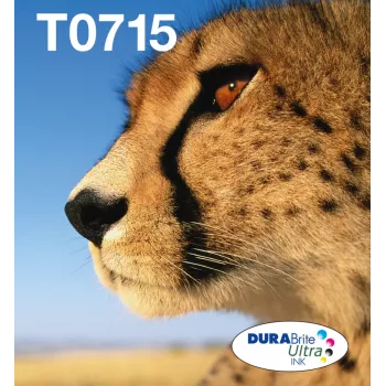 Epson πολυσυσκευασία 4 χρωμάτων T071 EasyMail, Standard Yield, μαύρο, cyan, magenta, κίτρινο, 7,4 ml, 5,5 ml, 1 τεμ., πολυσυσκευασία