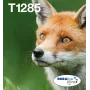 Μελανοδοχεία inkjet πολυσυσκευασίας Epson Fox T128 EasyMail — 4 χρώματα (μαύρο 5,9 ml; cyan/magenta/κίτρινο 3,5 ml)