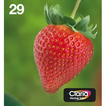 Epson Strawberry πολυσυσκευασία 4 χρωμάτων 29 EasyMail, Standard απόδοση, μαύρο, cyan, magenta, κίτρινο, 5,3 ml, 3,2 ml, 1 τεμ., πολυσυσκευασία