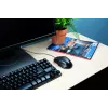 Trust Voca Ποντίκι Office δεξιόχειρας USB Type-A οπτικό 2400 DPI