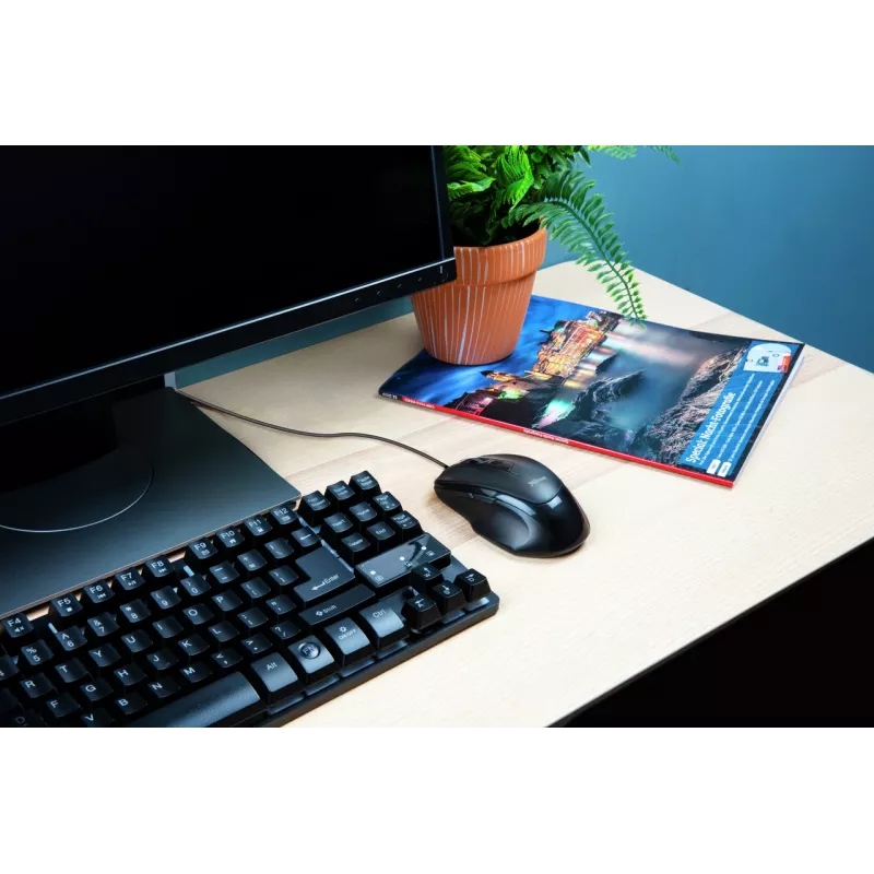 Trust Voca Ποντίκι Office δεξιόχειρας USB Type-A οπτικό 2400 DPI