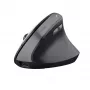 Trust TM-270 Ποντίκι Office δεξιόχειρας RF Wireless οπτικό 2400 DPI