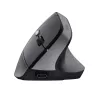 Trust TM-270 Ποντίκι Office δεξιόχειρας RF Wireless οπτικό 2400 DPI