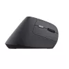 Trust TM-270 Ποντίκι Office δεξιόχειρας RF Wireless οπτικό 2400 DPI