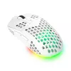 Trust GXT 929 Helox Ποντίκι Gaming δεξιόχειρας RF Wireless οπτικό 4800 DPI