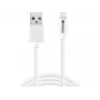 Sandberg USB-A σε Lightning MFI 1M, 1 m, Lightning, USB A, λευκό, ευθύ, ευθύ
