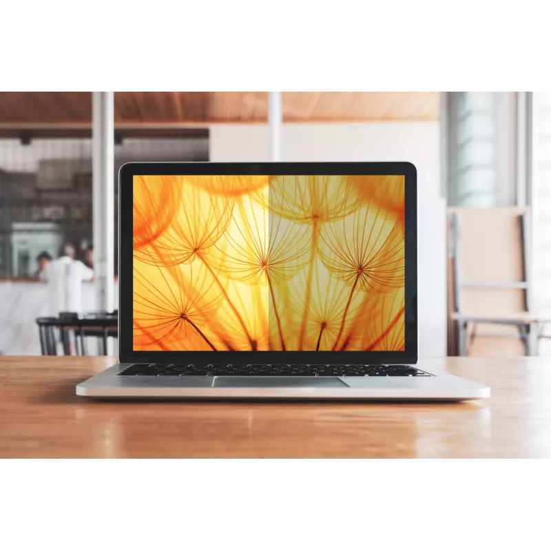 3M Bright Screen Privacy Filter για Apple® MacBook Pro® 16 2019, 16:10, BPNAP004