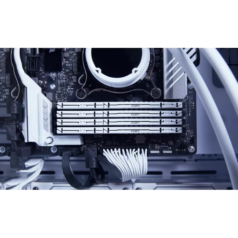 Kingston Technology FURY Beast 32GB 5600MT/s DDR5 CL36 DIMM λευκό EXPO