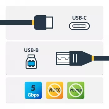 StarTech.com Καλώδιο USB-C σε USB-B - M/M - 2 m - USB 3.0