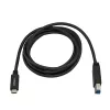 StarTech.com Καλώδιο USB-C σε USB-B - M/M - 2 m - USB 3.0
