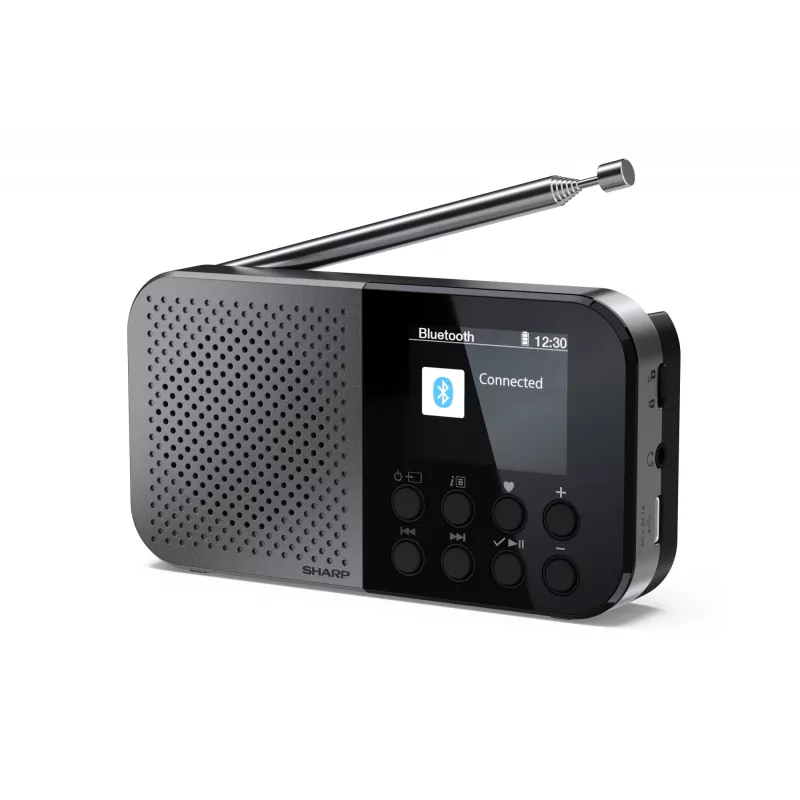 Προσωπικό ραδιόφωνο Sharp DR-P520 ψηφιακός δέκτης DAB DAB+ FM