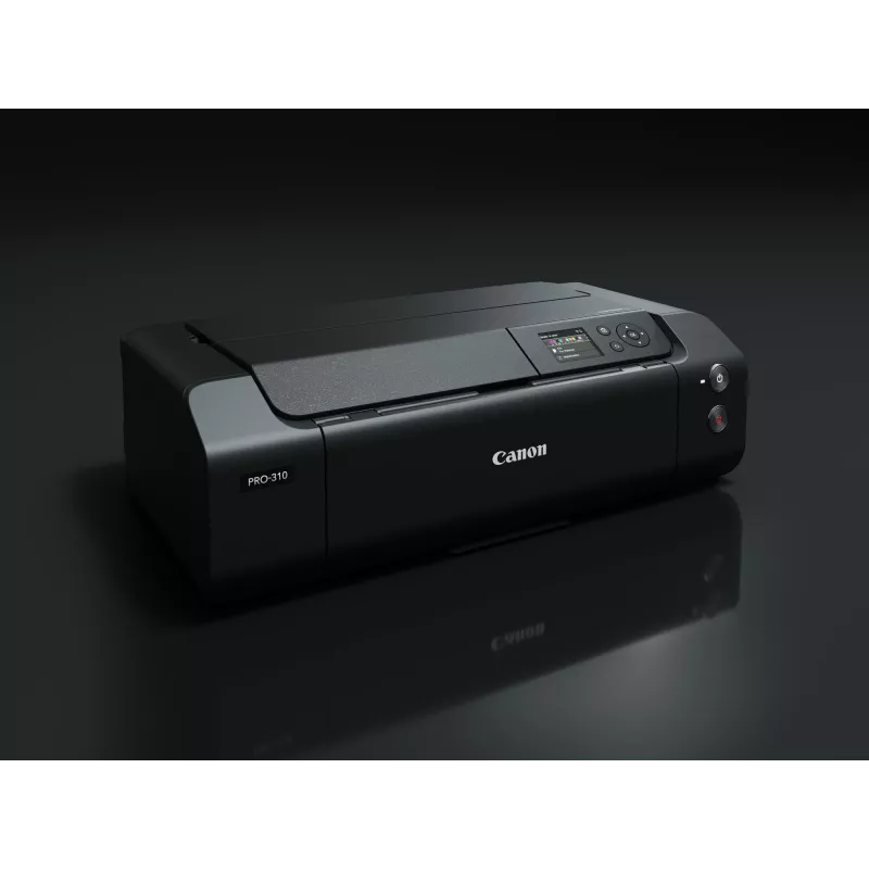 Εκτυπωτής inkjet Canon imagePROGRAF PRO-310 έγχρωμος 4800 x 2400 DPI A3+ WLAN