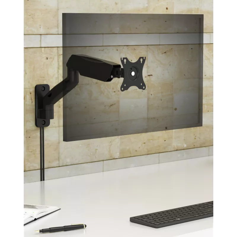 ICY BOX IB-MS103-W 81,3 cm (32 ίντσες) Wall Black