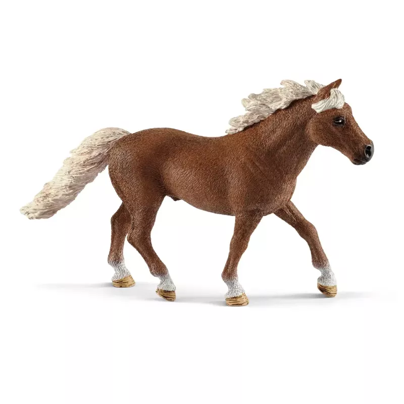 Προπόνηση Ευκινησίας Πόνυ Schleich 42481 Πολύχρωμο Πλαστικό 3-8 έτη