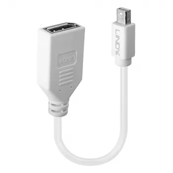 Lindy 0,20 m Καλώδιο προσαρμογέα Mini DisplayPort σε DisplayPort, 0,15 m, Mini DisplayPort, DisplayPort, Βύσμα αρσενικό, Υποδοχή θηλυκή, Λευκό