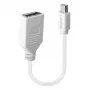 Lindy 0,20 m Καλώδιο προσαρμογέα Mini DisplayPort σε DisplayPort, 0,15 m, Mini DisplayPort, DisplayPort, Βύσμα αρσενικό, Υποδοχή θηλυκή, Λευκό