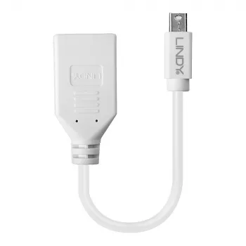 Lindy 0,20 m Καλώδιο προσαρμογέα Mini DisplayPort σε DisplayPort, 0,15 m, Mini DisplayPort, DisplayPort, Βύσμα αρσενικό, Υποδοχή θηλυκή, Λευκό