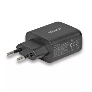Lindy 65W USB 2 x Type-C GaN φορτιστής 73438