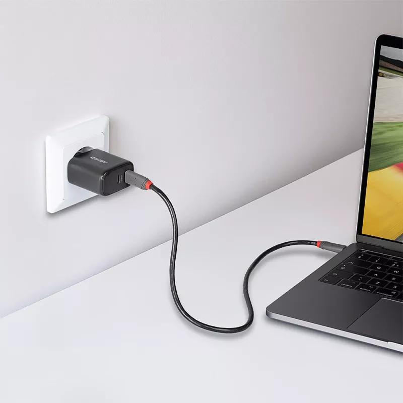 Lindy 65W USB 2 x Type-C GaN φορτιστής 73438