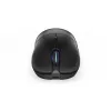 Ποντίκι ENDORFY GEM Plus Wireless RF Wireless + USB Type-C