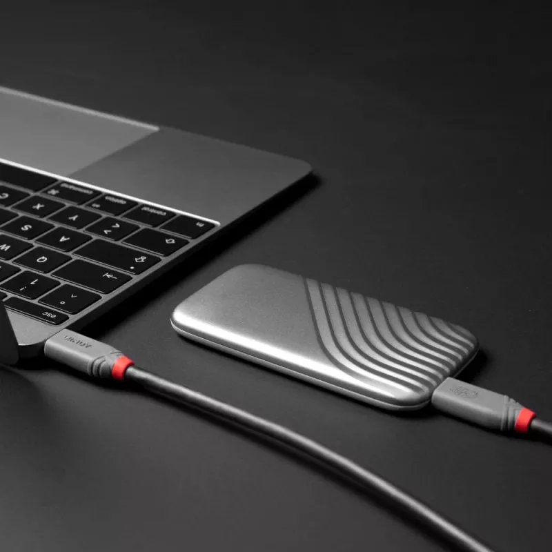 Lindy 1,5 m USB 4 240 W καλώδιο Type-C, Anthra Line