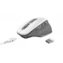 Trust Ozaa Ποντίκι γραφείου δεξιόχειρας RF Wireless οπτικό 2400 DPI