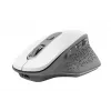 Trust Ozaa Ποντίκι γραφείου δεξιόχειρας RF Wireless οπτικό 2400 DPI