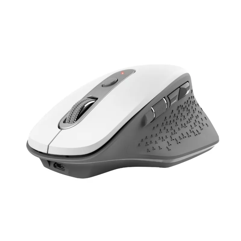 Trust Ozaa Ποντίκι γραφείου δεξιόχειρας RF Wireless οπτικό 2400 DPI