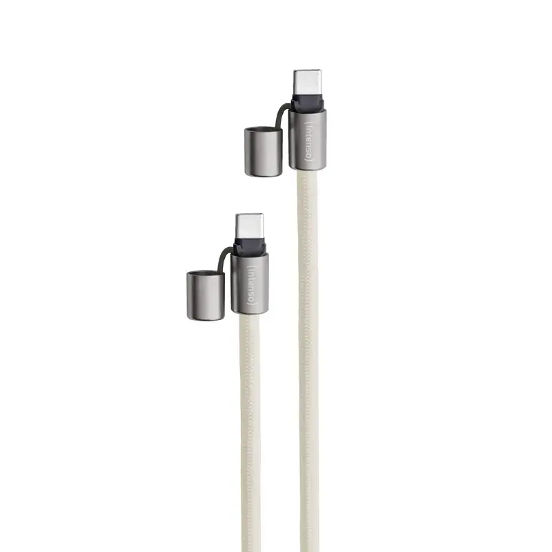 Καλώδιο USB Intenso αλυσίδα κινητού 1,65 m USB-C μπεζ